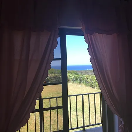 Paradise House بيت للعطل ألخيزور